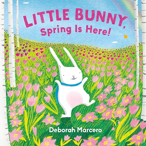 cover image Little Bunny, Spring Is Here! (Little Bunny #1)