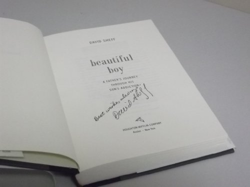 cover image Beautiful Boy: A Father's Journey Through His Son's Meth Addiction