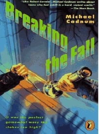 Breaking the Fall