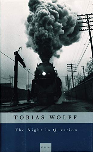 cover image The Night in Question: Stories