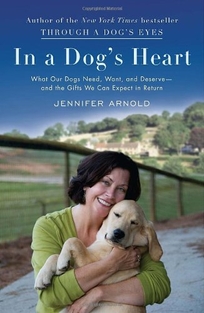 In a Dog's Heart: What Our Dogs Need