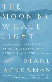 Moon by Whale Light: And Other Adventures Among Bats