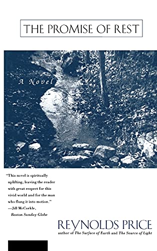 cover image The Promise of Rest