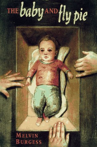 cover image The Baby and Fly Pie