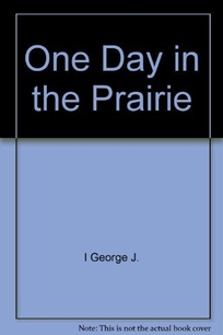 One Day in the Prairie