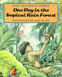 One Day in the Tropical Rain Forest