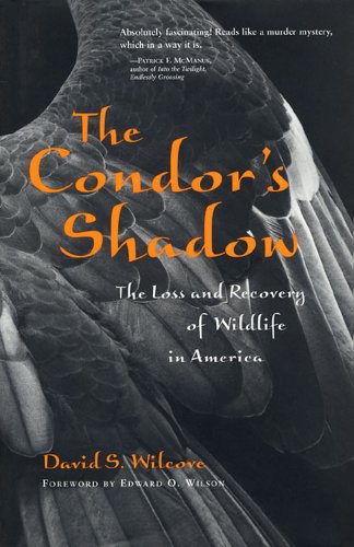cover image Condor's Shadow