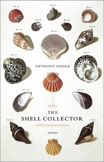 THE SHELL COLLECTOR