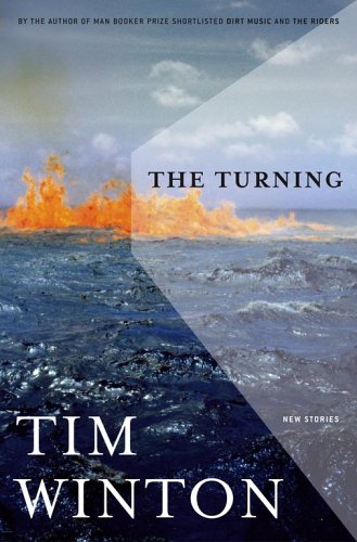cover image The Turning