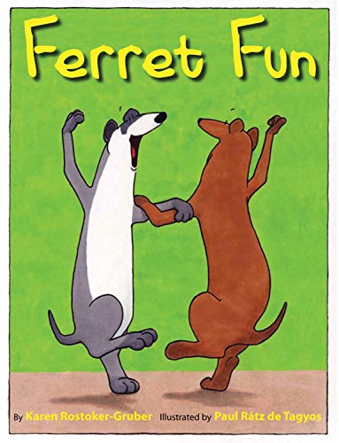 cover image Ferret Fun