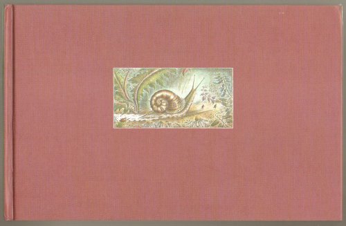 cover image THE SNAIL HOUSE 