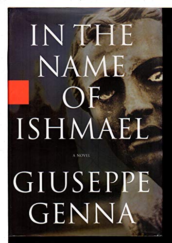 cover image IN THE NAME OF ISHMAEL