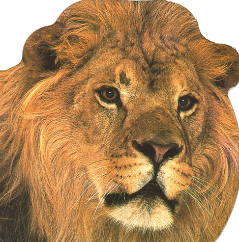 cover image Wild Animals