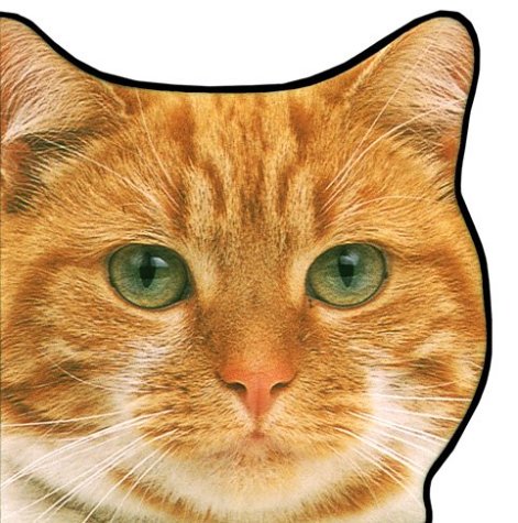 cover image Cats & Kittens