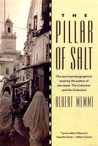 cover image Pillar of Salt