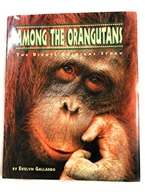 Among the Orangutans