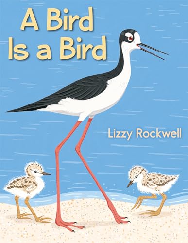 cover image A Bird Is a Bird