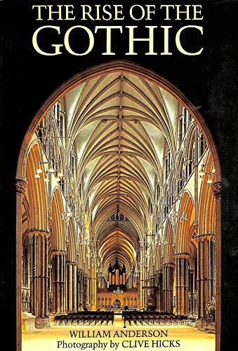 cover image The Rise of the Gothic