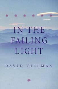 In the Failing Light: A Memoir