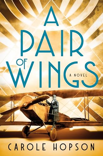 cover image A Pair of Wings