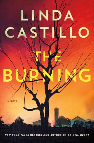 cover image The Burning: A Kate Burkholder Novel