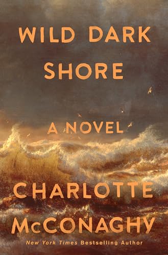 cover image Wild Dark Shore