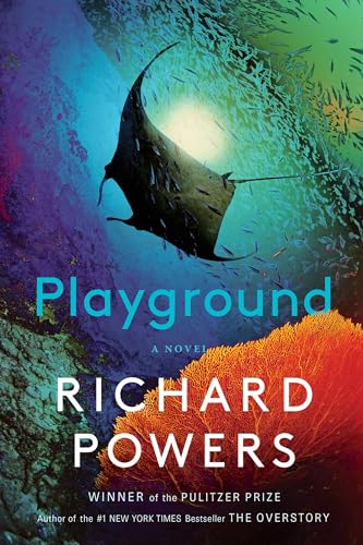 cover image Playground