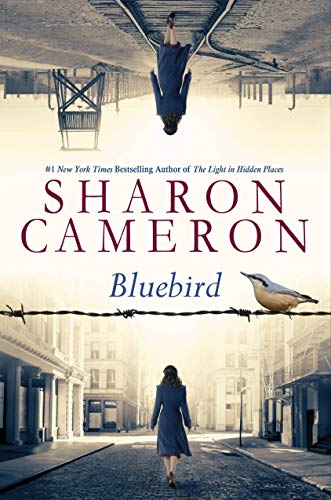 cover image Bluebird