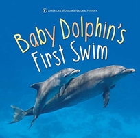 Baby Dolphin’s First Swim