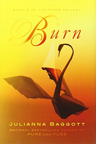 cover image Burn