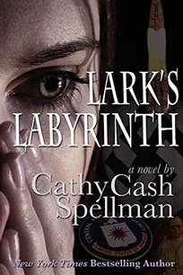 Lark's Labyrinth