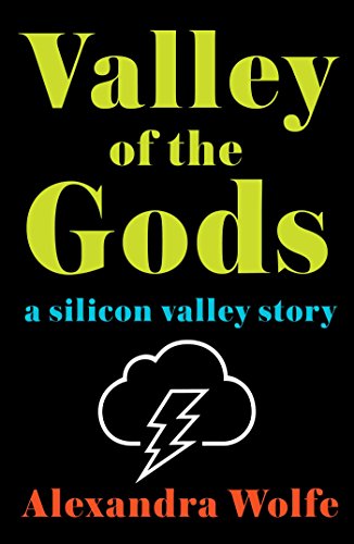cover image Valley of the Gods: A Silicon Valley Story