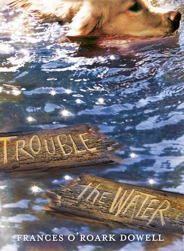 cover image Trouble the Water
