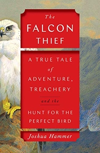 The Falcon Thief: A True Tale of Adventure