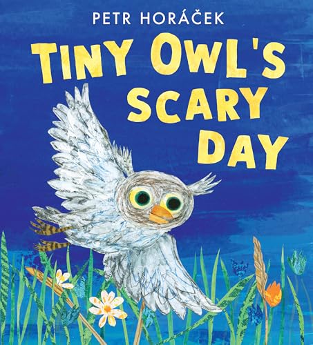 cover image Tiny Owl’s Scary Day
