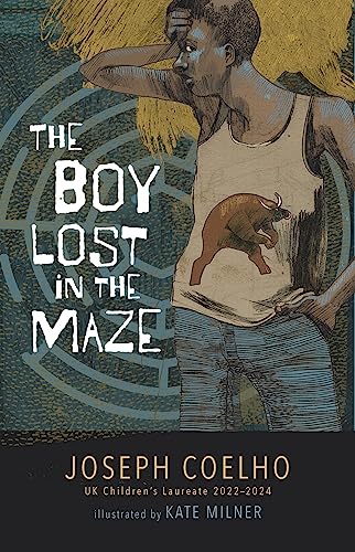 cover image The Boy Lost in the Maze