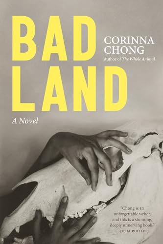 cover image Bad Land