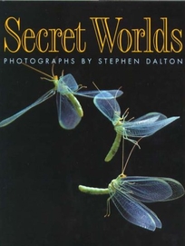 Secret Worlds