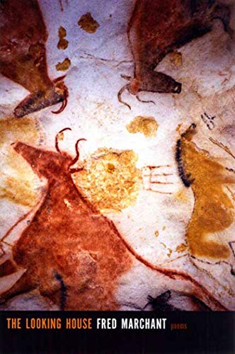 cover image The Looking House