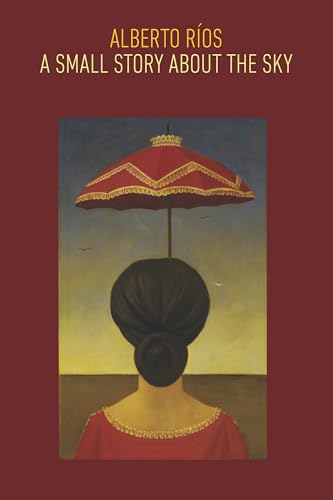 cover image A Small Story About the Sky