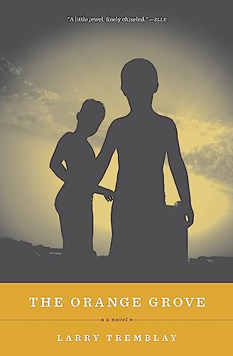 cover image The Orange Grove