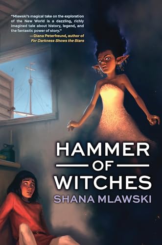 cover image Hammer of Witches