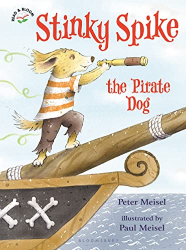 Sea-dogs and swashbucklers: why we all love pirates