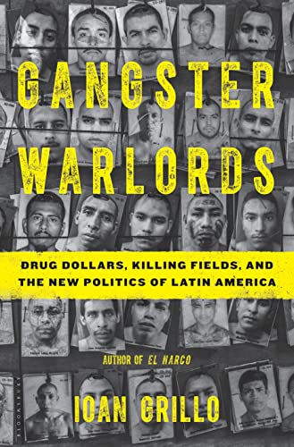 cover image Gangster Warlords: Drug Dollars, Killing Fields, and the New Politics of Latin America
