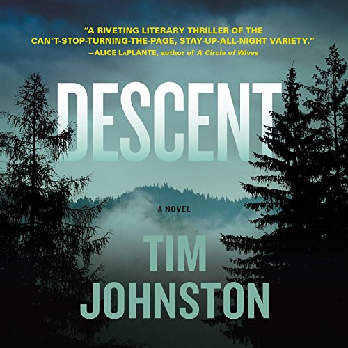 cover image Descent