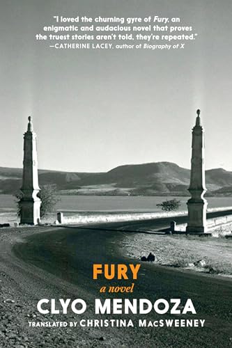 cover image Fury