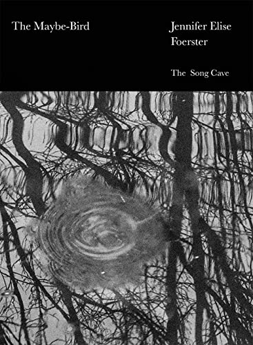 cover image The Maybe-Bird
