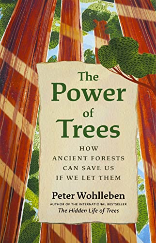 cover image The Power of Trees: How Ancient Forests Can Save Us If We Let Them