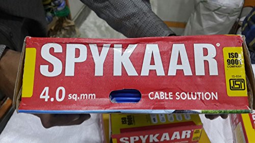 cover image Lion's Honey: The Myth of Samson