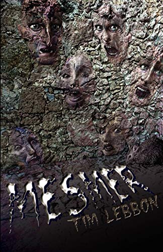 cover image Mesmer